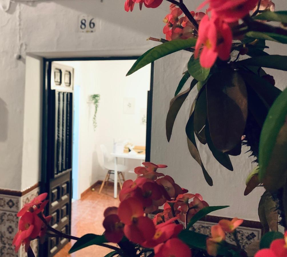 Casa Rural Dian - Centro Torrox Dış mekan fotoğraf